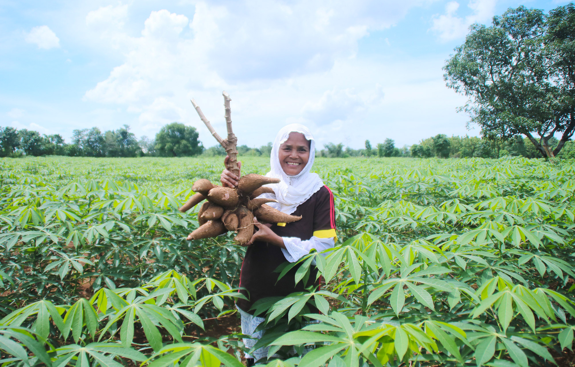 Cassava Farmer